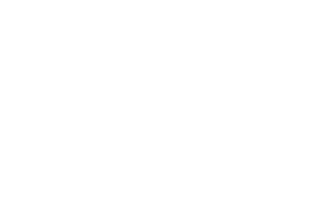 Logo de Willermin